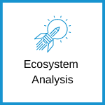 Ecosystem Analysis
